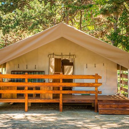 Sunflower Camping Savudrija Ngoại thất bức ảnh