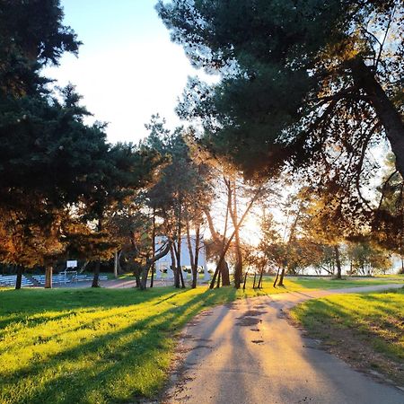 Sunflower Camping Savudrija Ngoại thất bức ảnh