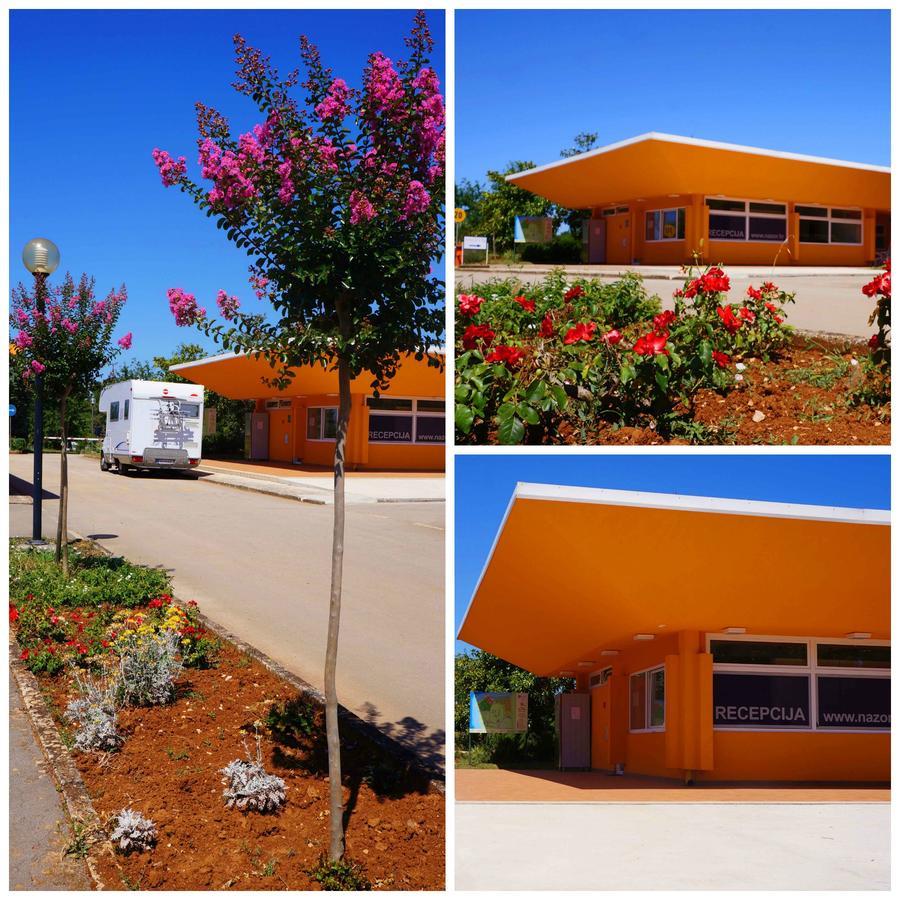 Sunflower Camping Savudrija Ngoại thất bức ảnh